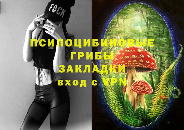 ALPHA-PVP Алексеевка